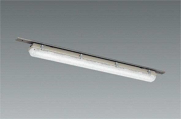 ERK8749NA 遠藤照明 密閉形低温倉庫用ベースライト −25℃クラス 1灯用 ランプ別売