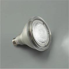 DP-38669WE ダイコー LEDランプ LED（昼白色）