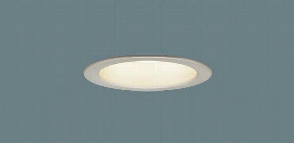 LSEW5030LE1 パナソニック 軒下用ダウンライト プラチナメタリック LED（電球色） (LSEW5030 LE1)