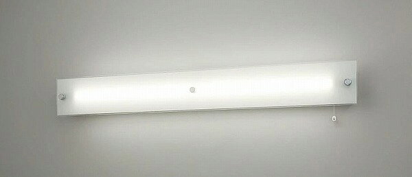 乐天商城 - NWFF41639JLE9 パナソニック 誘導灯 非常用ベースライト 40形 LED（昼白色）