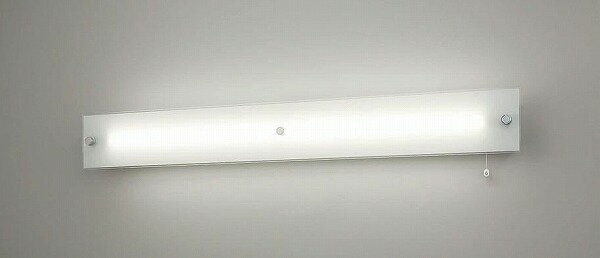 Other - NWFF41669JLE9 パナソニック 誘導灯 非常用ベースライト 40形 LED（昼白色）