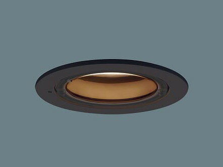 XED1101LCE1 �ѥʥ��˥å� �����ѥ�����饤�� �֥�å� ��100 LED���ŵ忧�� �Ȼ� (XLGW72412CE1 �����)