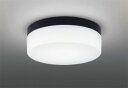 LEDG85915(K) 東芝 浴室灯 ブラック ランプ別売 (13800029)