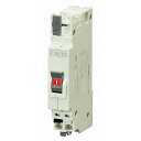 BC2NA30 テンパール工業 配線用遮断器 パールテクトブレーカ BC-2NA 2P2E 30A