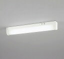 OB255181R オーデリック キッチンライト コンセント付 20形 高演色LED(昼白色)