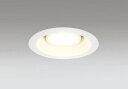 OD361230BCR オーデリック ダウンライト ホワイト 高演色LED 調色 調光 Bluetooth