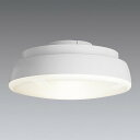 RAD860F 遠藤照明 LEDランプディスク 150 電球色 超広角(3)