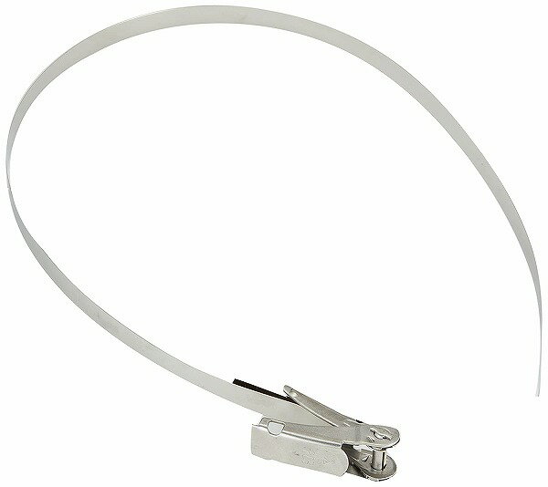 【10個セット】 POB-6 未来工業 ポールバンド(ステンレス製) 締付金具付 バンド幅10mm 600mm