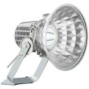 E30423M/N 岩崎電気 投光器 本体のみ LED(昼白色) 中角