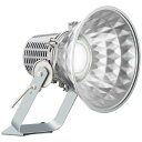 E30423W/N 岩崎電気 投光器 本体のみ LED(昼白色) 広角