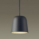 XLGB1008CE1 パナソニック ペンダントライト ブラック 拡散 LED(電球色) (LGB10412LE1 推奨品)