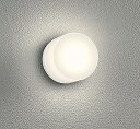 OG264001LR オーデリック 業務用浴室灯 ホワイト LED(電球色)