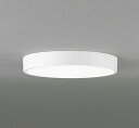 OL251726R オーデリック 小型シーリングライト φ300 ホワイト LED(昼白色)