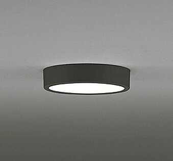 [商品について]※本商品は、メーカー取り寄せのため、欠品している場合がございます。※画像はイメージです。商品の詳細はメーカー受付窓口/HPにてご確認ください。※掲載商品は予告無く販売終了となっている場合もあり、掲載商品全ての出荷確約をするものではありません。[注意事項]※調光器別売です。別途お求めください。[返品・交換について]返品不可：返品不可の商品⇒詳細はこちらをクリック※当店ではお客様都合による交換は受け付けておりません。■メーカー/品番オーデリック OL251756R■商品カテゴリ照明器具 小型シーリングライト LED■取付方法取付・電気工事が必要です。■商品説明カラー/サイズ区分： ブラック φ150ランプ色： LED 昼白色 調光ランプ・W数： LED内蔵主な仕様： オーデリック ※壁面・天井面・傾斜面取付兼用■検索コード 20210915■ジャンル インテリア・寝具・収納 ライト・照明器具 天井照明 シーリングライト・天井直付灯■カテゴリ 照明器具 小型シーリングライト LEDオーデリック 小型シーリングライト φ150OL251756R 本体色：ブラック
