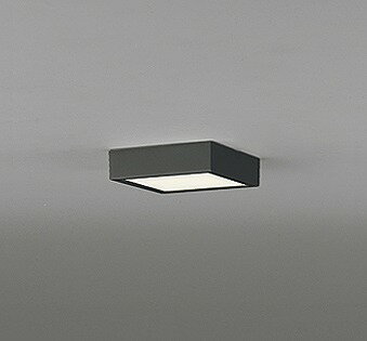[商品について]※本商品は、メーカー取り寄せのため、欠品している場合がございます。※画像はイメージです。商品の詳細はメーカー受付窓口/HPにてご確認ください。※掲載商品は予告無く販売終了となっている場合もあり、掲載商品全ての出荷確約をするものではありません。[注意事項]※調光器別売です。別途お求めください。[返品・交換について]返品不可：返品不可の商品⇒詳細はこちらをクリック※当店ではお客様都合による交換は受け付けておりません。■メーカー/品番オーデリック OL251787R■商品カテゴリ照明器具 小型シーリングライト LED■取付方法取付・電気工事が必要です。■商品説明カラー/サイズ区分： ブラック □120ランプ色： LED 電球色 調光ランプ・W数： LED内蔵主な仕様： オーデリック ※壁面・天井面・傾斜面取付兼用■検索コード 20210915■ジャンル インテリア・寝具・収納 ライト・照明器具 天井照明 シーリングライト・天井直付灯■カテゴリ 照明器具 小型シーリングライト LEDオーデリック 小型シーリングライト □120OL251787R 本体色：ブラック