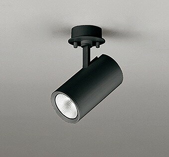 乐天商城 - OS256439R オーデリック スポットライト ブラック LED 昼白色 調光 広角