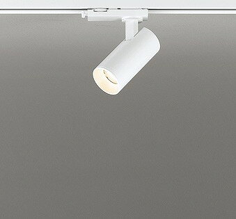 [商品について]※本商品は、メーカー取り寄せのため、欠品している場合がございます。※画像はイメージです。商品の詳細はメーカー受付窓口/HPにてご確認ください。※掲載商品は予告無く販売終了となっている場合もあり、掲載商品全ての出荷確約をするものではありません。[注意事項]※調光器別売です。別途お求めください。[返品・交換について]返品不可：返品不可の商品⇒詳細はこちらをクリック※当店ではお客様都合による交換は受け付けておりません。■メーカー/品番オーデリック OS256621R■商品カテゴリ照明器具 配線ダクトレール レール用スポットライト■取付方法レール取付専用■商品説明カラー区分： ホワイトランプ色： LED 電球色 調光ランプ・W数： LED内蔵主な仕様： オーデリック JDR50W相当■検索コード 20210915■ジャンル インテリア・寝具・収納 ライト・照明器具 照明器具部品 ダクトレール・ライティングレール■カテゴリ 照明器具 配線ダクトレール レール用スポットライトオーデリック レール用スポットライトOS256621R 本体色：ホワイト