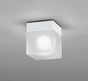 OW009357WR オーデリック 軒下用小型シーリングライト クリア LED(温白色)