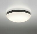 OW269014LR オーデリック 浴室灯 ブラック LED(電球色) (OW269014LD 代替品)