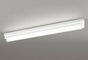 XL551534R2A オーデリック ベースライト 40形 片反射笠付 1灯 LED(昼光色)(3)