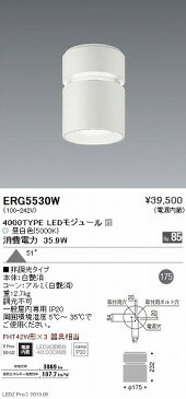 ERG5530W 遠藤照明 シーリングライト LED（昼白色）