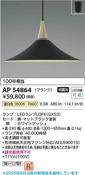 コネクト オンラインのAP54864 コイズミ ペンダントライト ブラック LED（温白色）｜アングル2