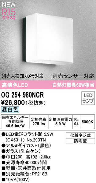 OG254980NCR オーデリック ポーチライト LED(昼白色) (OG254980NC 代替品)