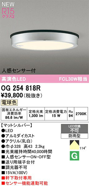 OG254818R オーデリック 軒下専用ポーチライト シルバー LED(電球色)