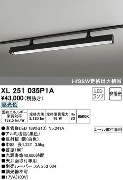 XL251035P1A オーデリック レール用ベースライト 40形 ブラック LED(昼光色)