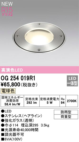 OG254019R1 オーデリック 地中埋込器具 ステンレス LED（電球色） (OG254019P1 後...