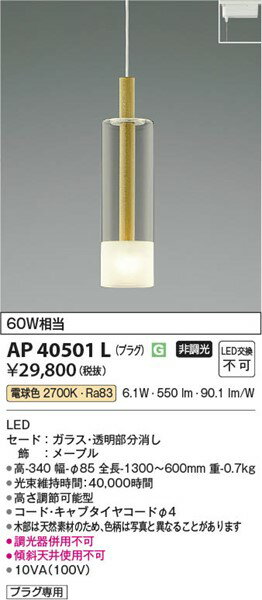 AP40501L コイズミ レール用ペンダントライト つや消し LED（電球色） 2