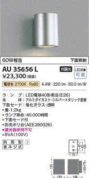 AU35656L コイズミ 表札灯 LED(電球色)