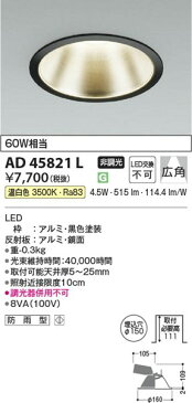 AD45821L コイズミ ダウンライト LED（温白色）