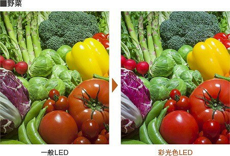 NSN68882WK �ѥʥ��˥å� ��˥С����������饤�� �ۥ磻�� LED��3500K�� ����