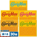 大塚製薬 カロリーメイトブロック