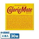大塚製薬 カロリーメイトブロック チョコ 4本タイプ 30個