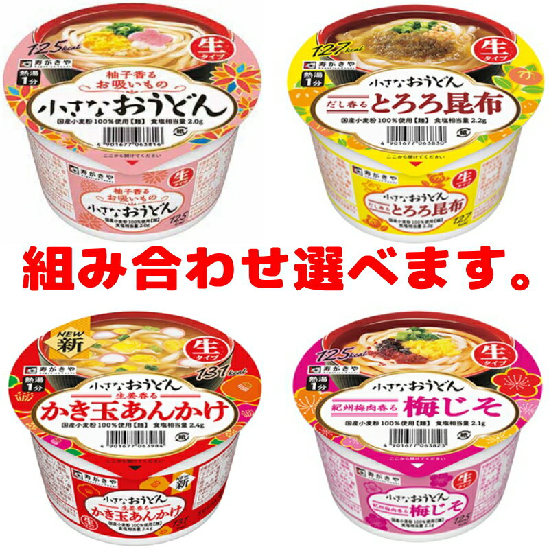 寿がきや(すがきや) 小さなおうどん 組み合わせ選べる12個 ミニサイズ カップめん