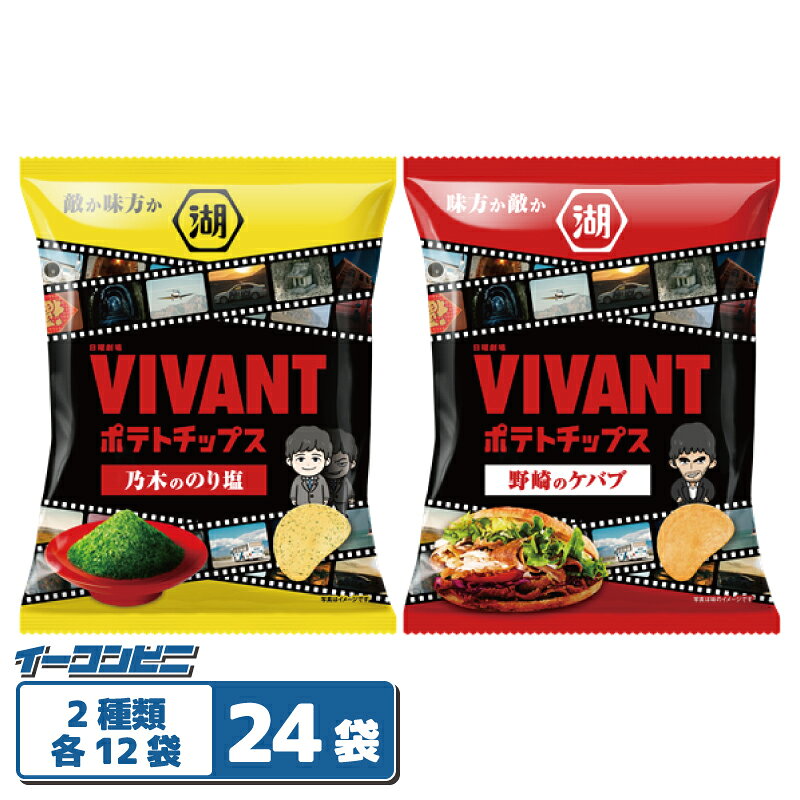 湖池屋 VIVANTポテトチップス 55g 2種各12袋（計24袋） 【乃木ののり塩／野崎のケバブ】 コラボレーション企画