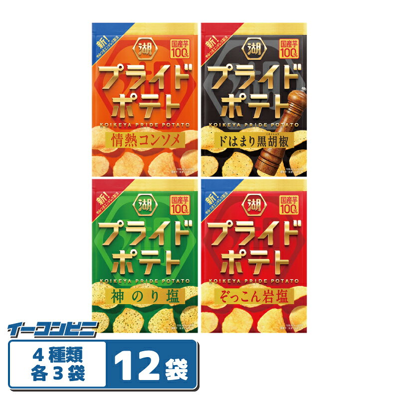 湖池屋 PRIDE POTATO プライドポテト 55g 4種各3袋セット（計12袋） 【神のり塩／ぞっこん岩塩／コンソメ／ドはまり黒胡椒】