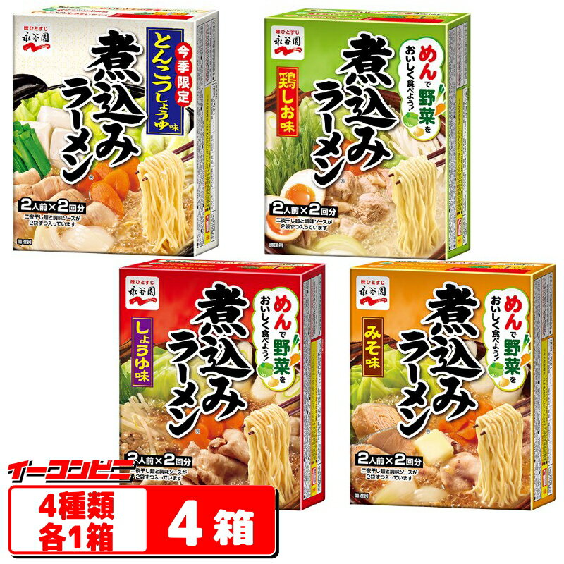 永谷園　煮込みラーメン（2人前x2回分）4種各1箱セット（計4箱）【送料無料(沖縄・離島除く)】のサムネイル