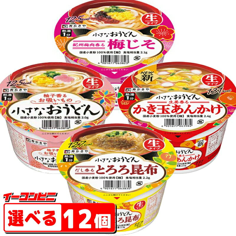 寿がきや(すがきや) 小さなおうどん 組み合わせ選べる12個 ミニサイズ カップめん