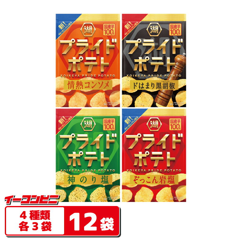 湖池屋 PRIDE POTATO プライドポテト 55g 4種各3袋セット（計12袋） 【神のり塩／ぞっこん岩塩／コンソメ／ドはまり黒胡椒】