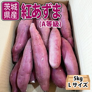 『お取り寄せ』茨城県産　紅あずま　Lサイズ　A等級　約5kg　1箱　青果市場から仕入れ。