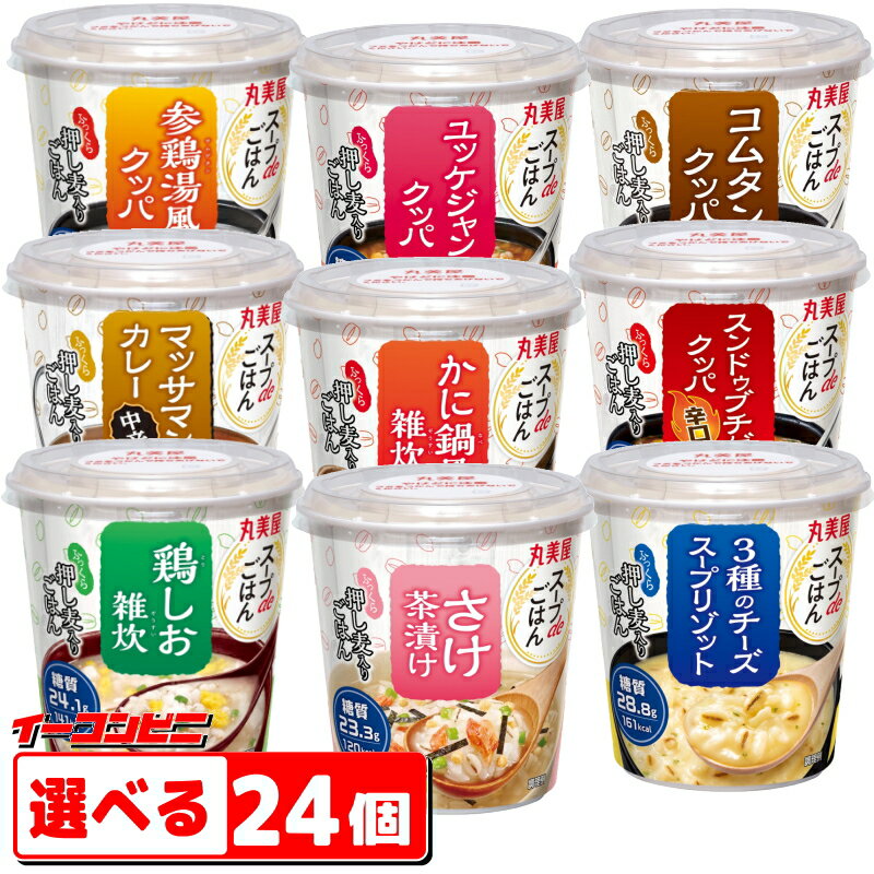 ケース販売！48食 アマノフーズ 海鮮雑炊4種セット4食×12 バラエティ 詰め合わせ 即席 インスタント まとめ買い ノベルティ 業務用 [am]