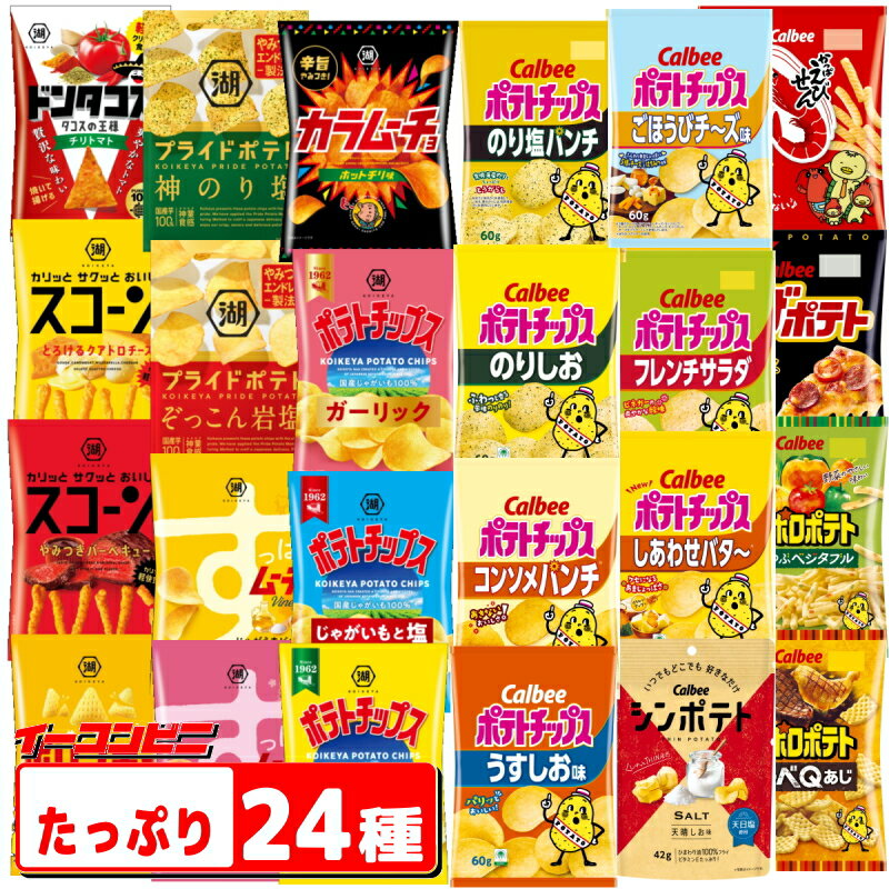 カルビー 湖池屋 スナック菓子 お楽しみ24袋セット お楽しみ ポテトチップス ポテチ 送料無料 沖縄・離島除く 