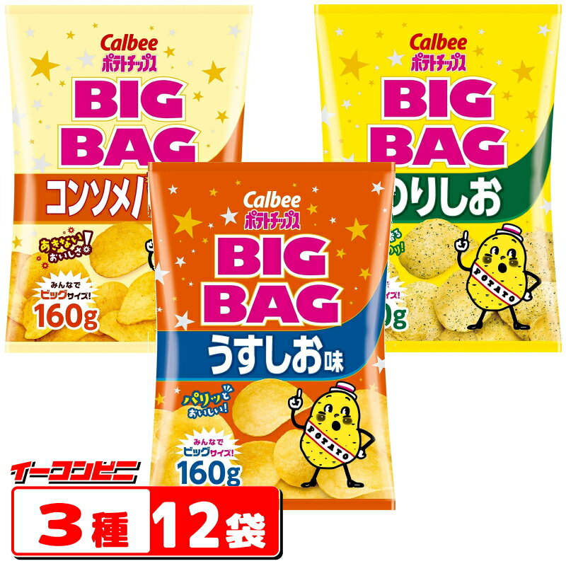 カルビー ポテトチップス BIGBAG ビック・ビッグ 160g 3種各4袋セット 計12袋 うすしお・のりしお・コンソメパンチ【お菓子】【スナック菓子】【送料無料 沖縄・離島除く 】