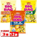 カルビー　ポテトチップス　BIGBAG(ビック・ビッグ)　160g　3種各4袋セット(計12袋)　うすしお・のりしお・コンソメパンチ【お菓子】【..