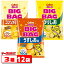 ֥ӡݥƥȥåץBIGBAG(ӥåӥå)160g34ޥå(12)Τꤷ󥽥ѥڤۻҡۡڥʥåۻҡ̵ۡ(졦Υ)ۡפ򸫤