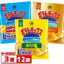 湖池屋 ポテトチップス Largeサイズ 3種各4袋セット (計12袋) ビッグサイズ ラージサイズ