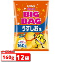 カルビー　ポテトチップス　BIGBAG(ビック・ビッグ)　160g　うすしお味　1ケース(12袋)【送料無料(沖縄・離島除く)】